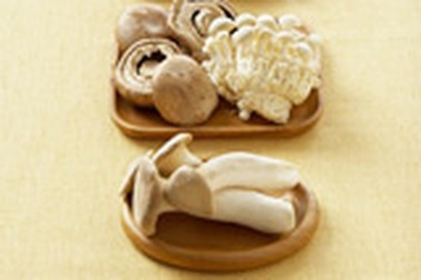 Nấm hương - Hoàng hậu thực vật 