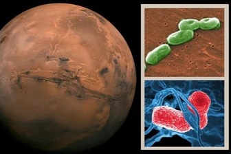 Vi khuẩn là chìa khóa giúp xây dựng căn cứ địa đầu tiên trên Sao Hỏa