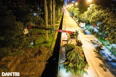 Xuyên đêm đánh chuyển hàng cây xanh trên tuyến đường đẹp nhất Hà Nội