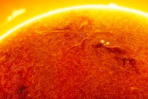 Mặt Trời có thể đạt cực đại kép, chực chờ bùng nổ vào tháng 7?