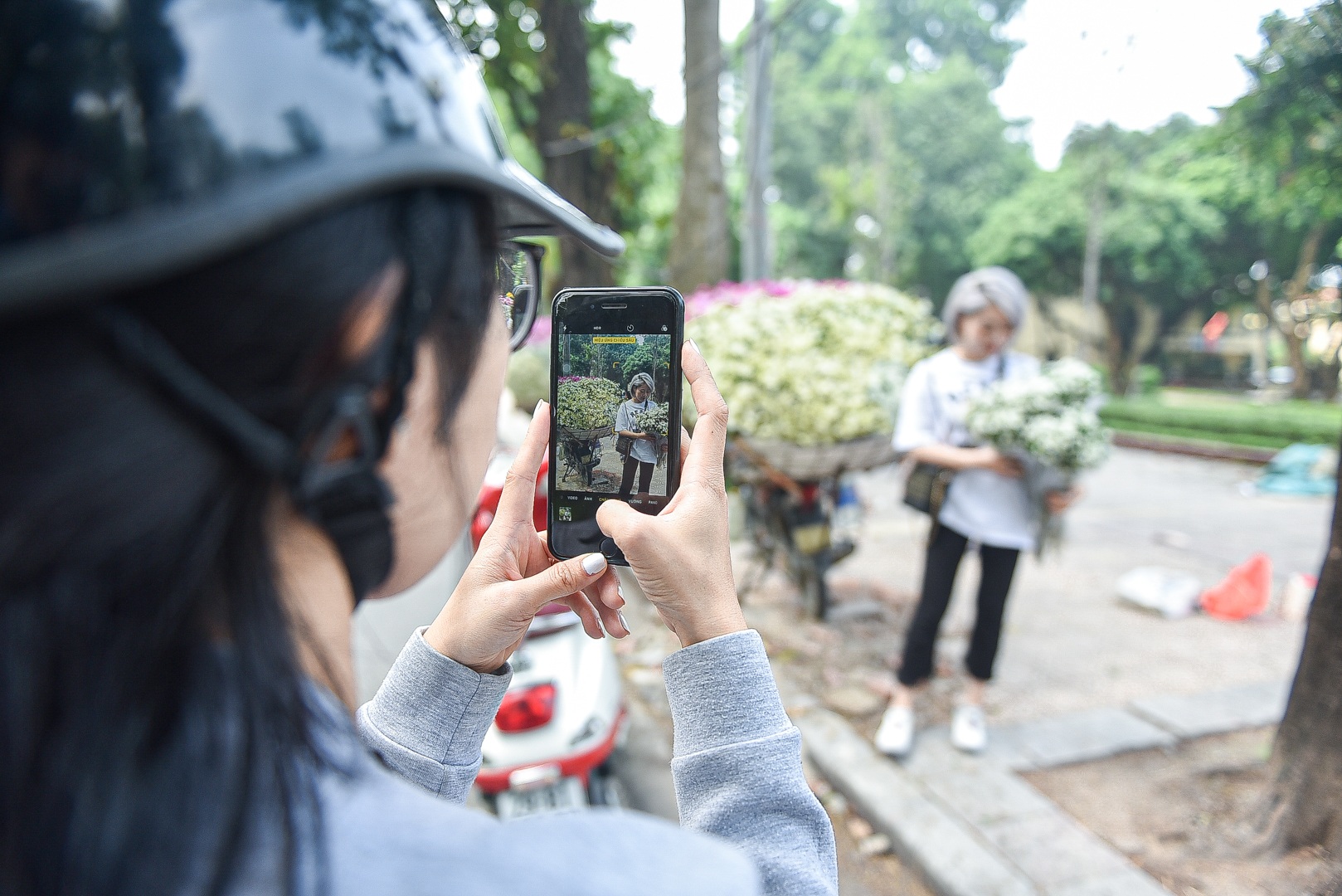 Cúc họa mi đầu mùa: Dân buôn hét giá cả trăm ngàn một bó vẫn cháy hàng - 12 Cúc họa mi đầu mùa: Dân buôn hét giá cả trăm ngàn một bó vẫn cháy hàng - 12