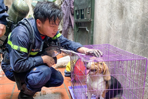 Chuyện xúc động về Trung úy hy sinh khi chữa cháy qua lời kể của nam ca sĩ