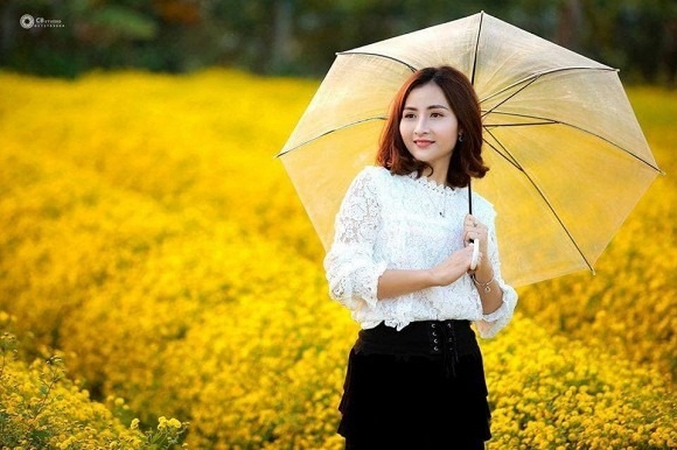 Ngỡ ngàng mùa sen giữa trời đông, lau đẹp như tranh ở Ninh Bình - 6 Ngỡ ngàng mùa sen giữa trời đông, lau đẹp như tranh ở Ninh Bình - 6