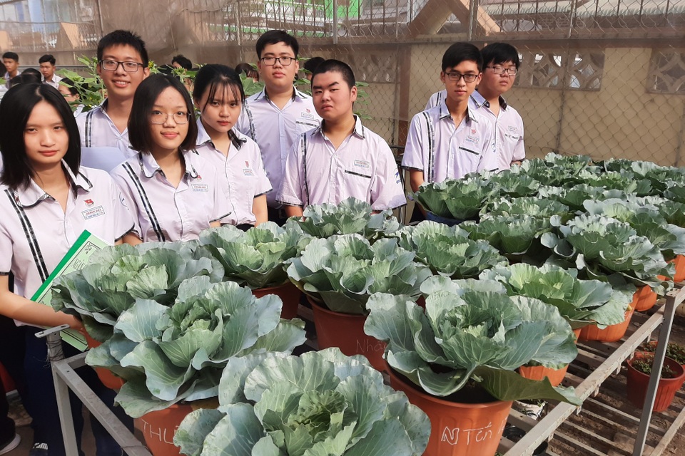 Học tập theo dự án STEM, Tết này em có hoa trưng Tết do chính mình trồng! - 4 Học tập theo dự án STEM, Tết này em có hoa trưng Tết do chính mình trồng! - 4
