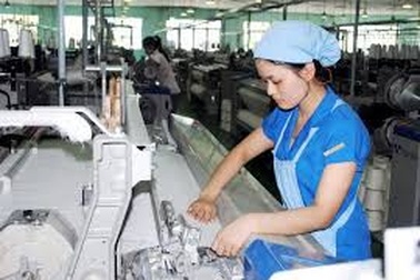 Doanh nghiệp được lựa chọn hình thức sổ quản lý lao động