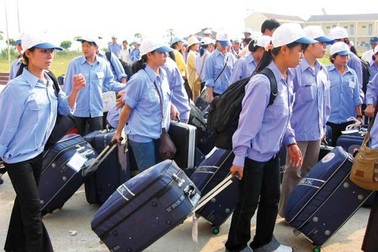 ILO cam kết hỗ trợ Việt Nam thúc đẩy di cư lao động an toàn