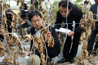 Hàn Quốc: hơn 3.000 người bị ốm vì rò rỉ chất độc