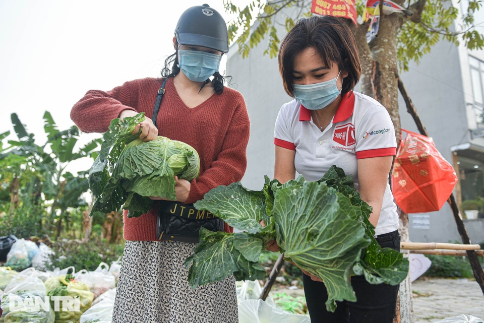 Người Hà Nội trả gấp 5, 10 lần để mua nông sản Hải Dương - 3 Người Hà Nội trả gấp 5, 10 lần để mua nông sản Hải Dương - 3
