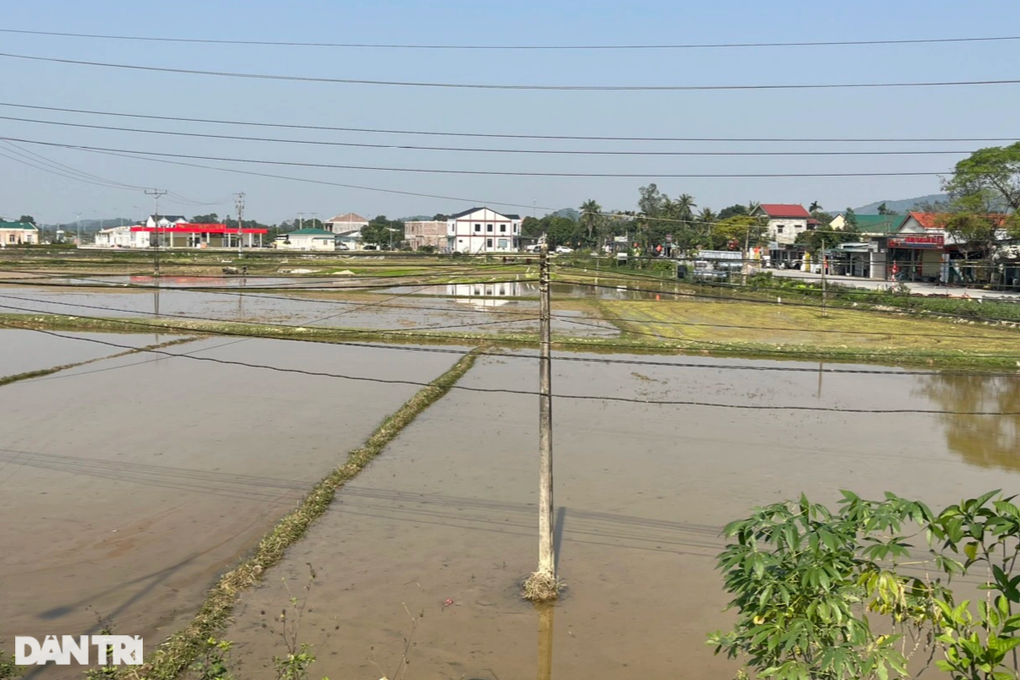 Cả cuộc đời tôi đã thủy chung, trọn vẹn niềm tin với Đảng - 3 Cả cuộc đời tôi đã thủy chung, trọn vẹn niềm tin với Đảng - 3