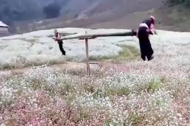 Trò chơi bập bênh của người Tây Bắc được yêu thích trên fanpage 36 triệu thành viên