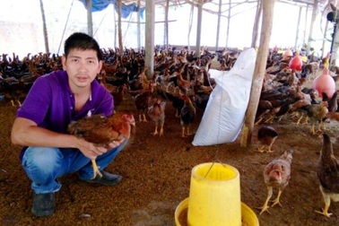 Bình Định: Thanh niên nuôi gà nhận giải thưởng Lương Định Của