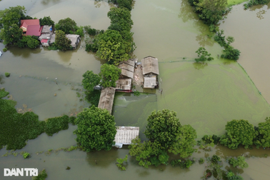 Vất vả nuôi cá cả năm, không ngờ trắng tay sau một đêm mưa lớn