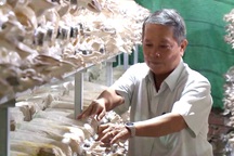 TPHCM: Nông dân "CLB 1 tỷ" thi nhau làm giàu