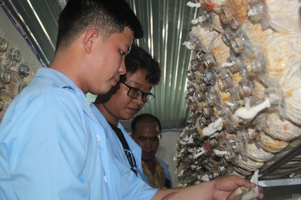 Kỳ lạ: Rót 500 triệu đồng, ngồi một chỗ điều khiển nấm mọc theo ý muốn - 1 Kỳ lạ: Rót 500 triệu đồng, ngồi một chỗ điều khiển nấm mọc theo ý muốn - 1