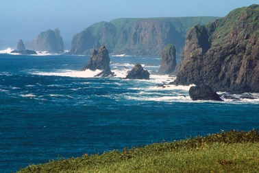 Nga thả công dân Nhật Bản bị bắt tại đảo tranh chấp