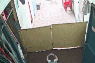 Clip “em bé lật đật chạy theo để chào tạm biệt ba” gây cảm động tuần qua