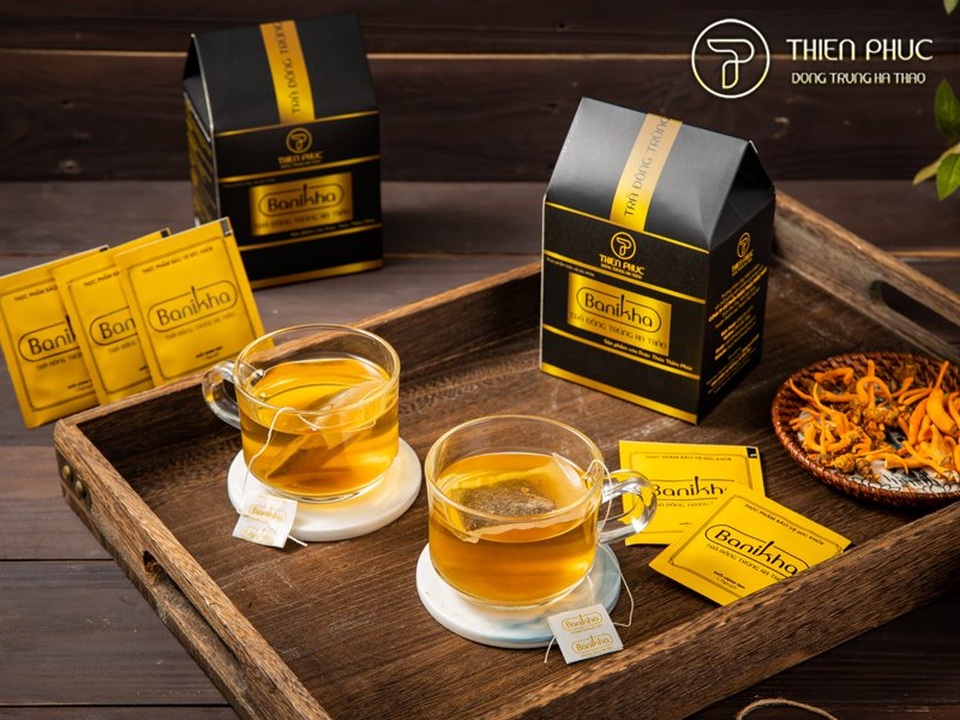 Mô hình nuôi đông trùng hạ thảo đạt chuẩn GACP-WHO của Việt Nam - 4 Mô hình nuôi đông trùng hạ thảo đạt chuẩn GACP-WHO của Việt Nam - 4