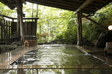 Top 5 khách sạn có nhiều loại bể tắm onsen tốt nhất Nhật Bản