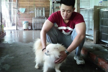 Hà Nội: Dịch vụ trông giữ chó, mèo “đắt khách” dịp nghỉ lễ