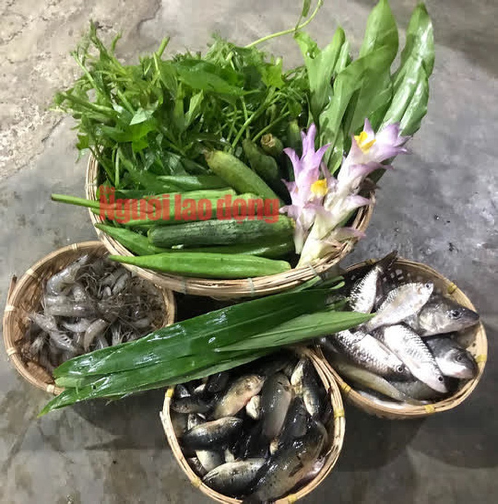 Bông giờ - quà độc lạ của mùa thu xứ Nẫu - 8 Bông giờ - quà độc lạ của mùa thu xứ Nẫu - 8