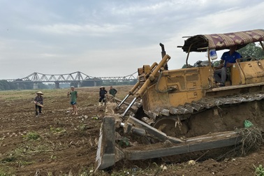 Giải tỏa bãi bồi Phúc Xá bị lấn chiếm để trả về nguyên trạng tự nhiên