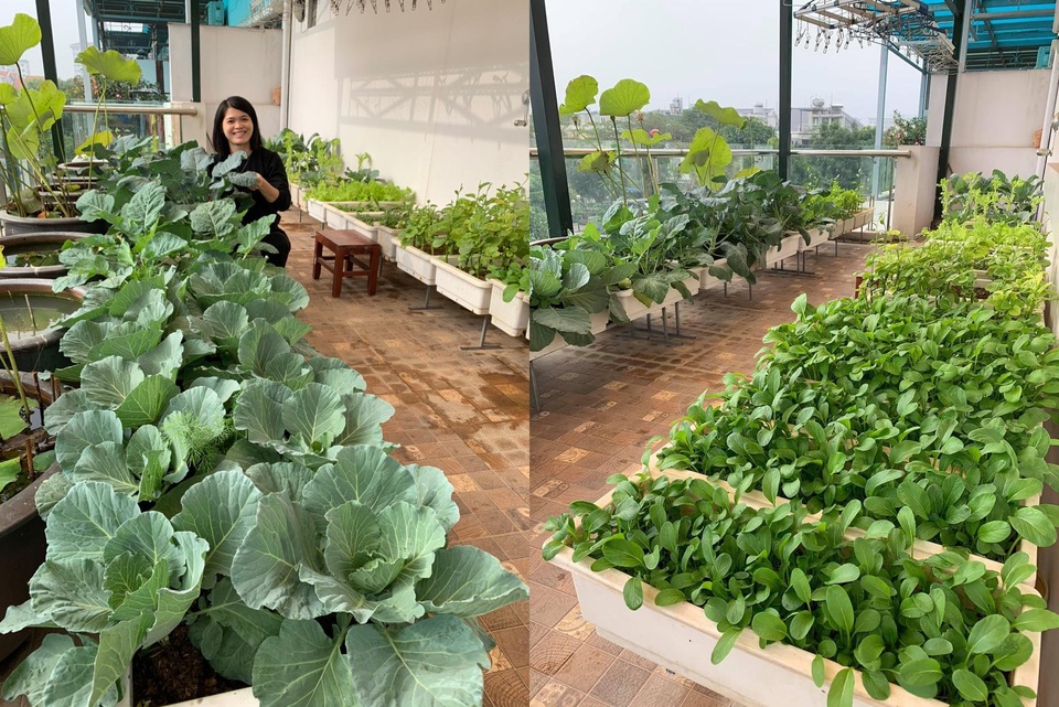 Choáng ngợp biệt thự trăm m2 hoa trái sum suê của mẹ đảm Hà Nội - 12