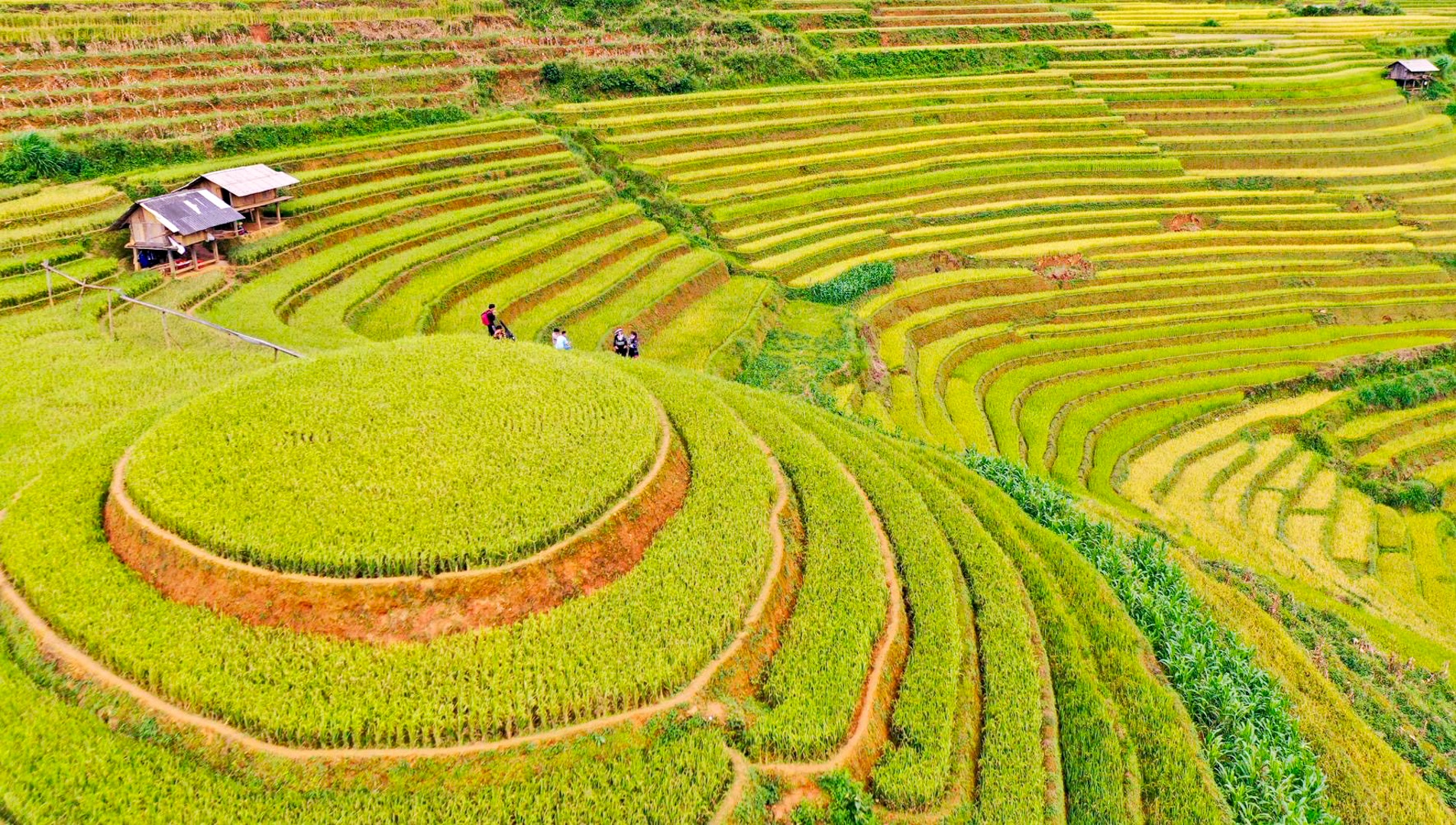 Ngắm nhìn những dải lụa vàng ở Mù Cang Chải - 12