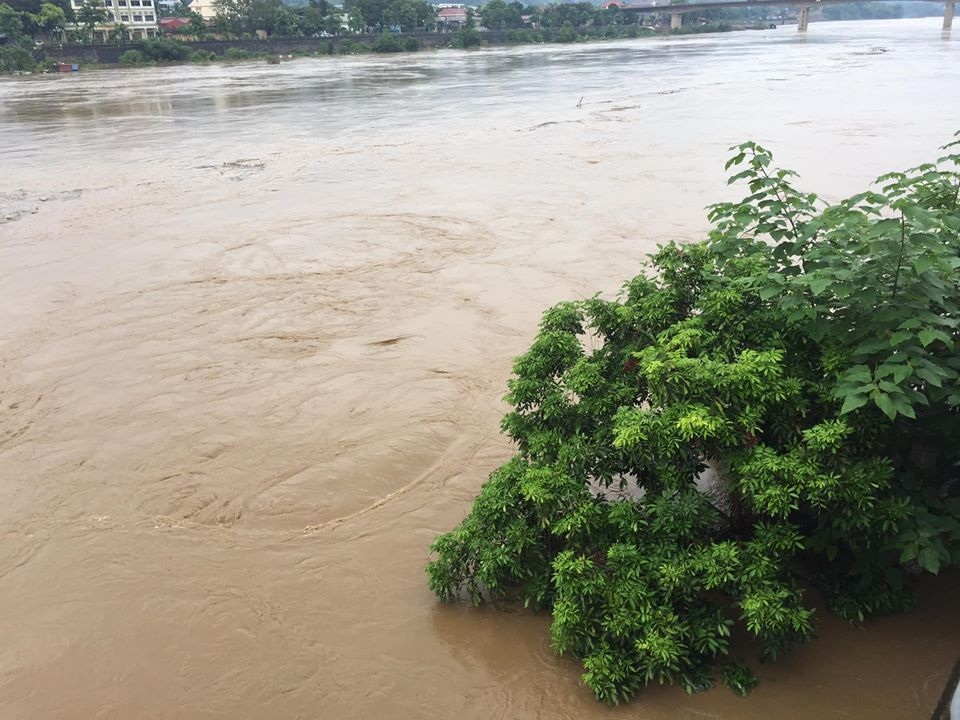Lũ lớn nhấn chìm đảo Soi Tiền nằm giữa sông Hồng - 3 Lũ lớn nhấn chìm đảo Soi Tiền nằm giữa sông Hồng - 3