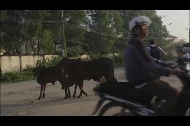 Ngày Tết sum vầy bên gia đình