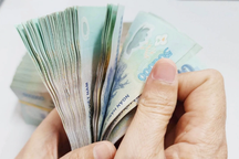 Sở GD&ĐT TPHCM thông báo khẩn sau vụ phụ huynh bị lừa cả trăm triệu đồng