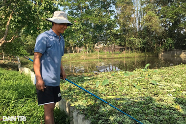 Chốt hướng làm giàu sau lần vô tình thả loại vật nuôi "siêu đẻ"