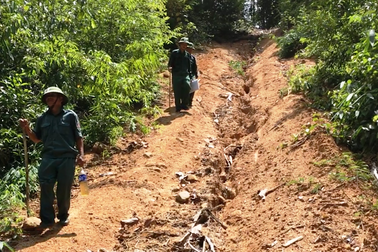 Gian nan hành trình bảo vệ rừng trên dòng Sê San