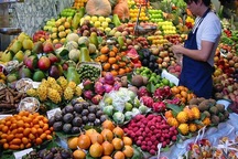 Gần 70% rau quả nhập về Việt Nam có xuất xứ Thái Lan, Trung Quốc