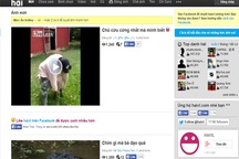 Haivl.com bị tước giấy phép hoạt động và bị phạt 205 triệu đồng