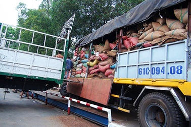 Vụ 3.000 tấn cà phê cầm cố 7 ngân hàng: Ngoạn mục "hô biến" rác thành... tiền