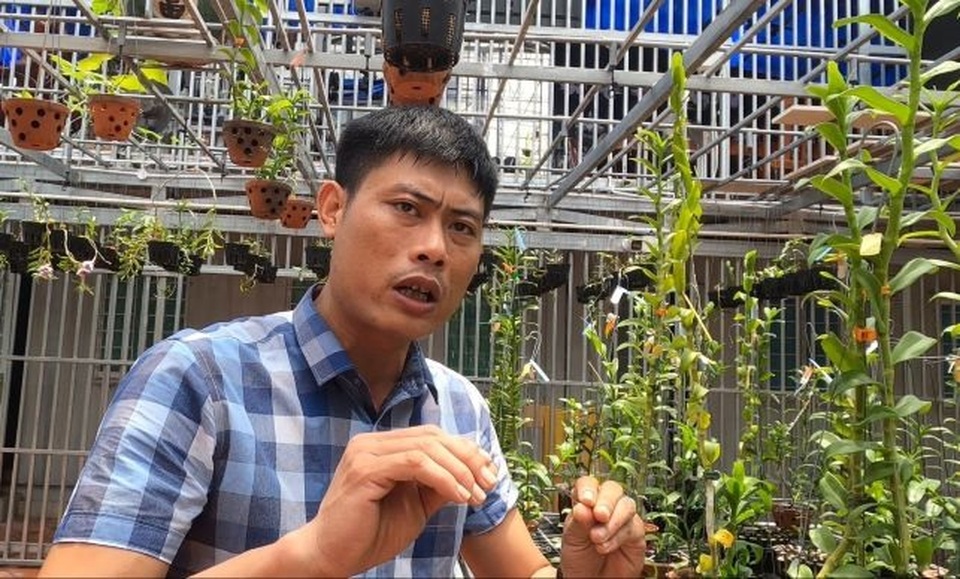 Gặp người mua 3 cây lan đột biến gene giá 32 tỷ đồng ở Bình Phước - 2 Gặp người mua 3 cây lan đột biến gene giá 32 tỷ đồng ở Bình Phước - 2