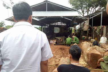 Nam thanh niên tử nạn quá thảm khốc khi ngã vào máy cưa