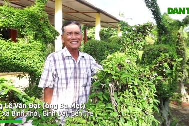 Lão nông cần mẫn 50 năm cắt tỉa vườn cây thành rừng chim thú