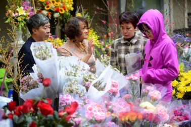 Rộn ràng sắc xuân