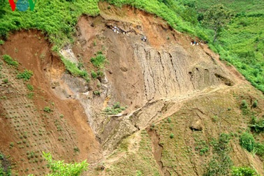 Lai Châu: Dân ồ ạt trộm quặng đất hiếm