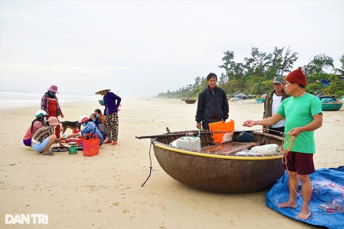 Ra khơi lấy ngày, ngư dân bất ngờ trúng đậm lộc biển - 9 Ra khơi lấy ngày, ngư dân bất ngờ trúng đậm lộc biển - 9