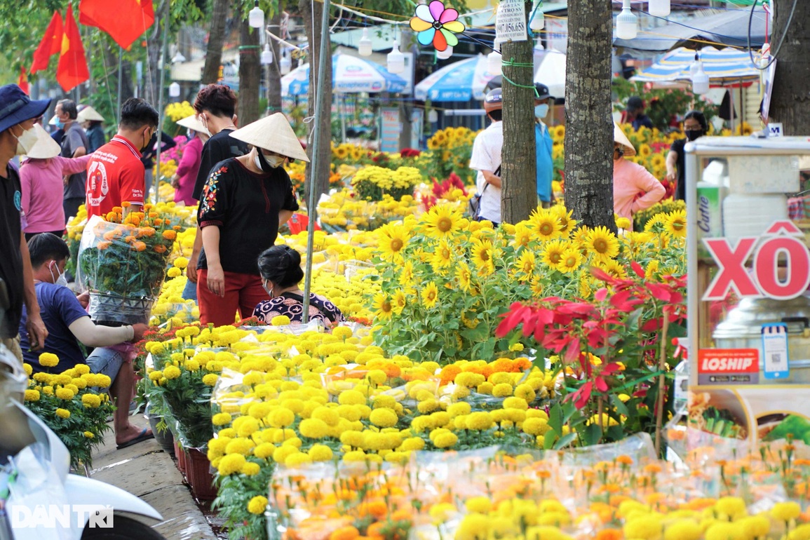 Chợ hoa Tết nhộn nhịp, tiểu thương ở Cần Thơ phấn khởi vì hết hàng sớm - 1 Chợ hoa Tết nhộn nhịp, tiểu thương ở Cần Thơ phấn khởi vì hết hàng sớm - 1