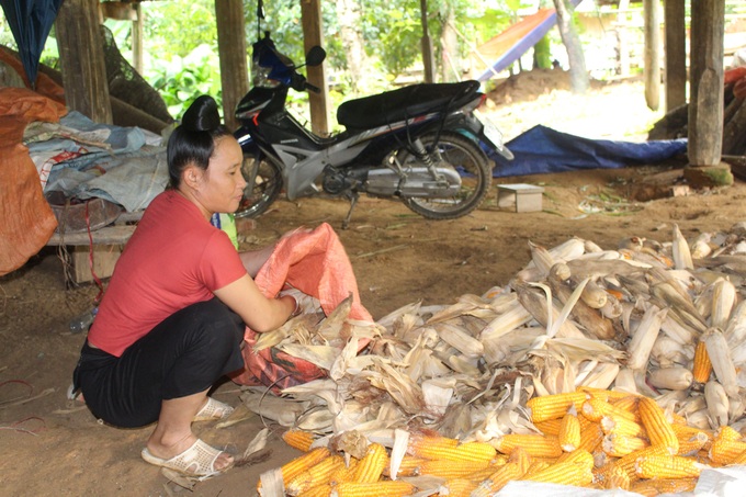 Đến năm 2030: Phấn đấu các huyện nghèo thoát khỏi tình trạng đặc biệt khó khăn - Ảnh 1.