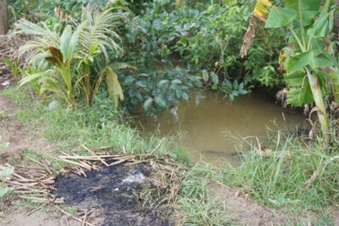 Bất ngờ khi kẻ yêu “phát cuồng” lại đang tâm cố sát vợ