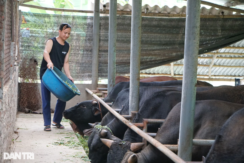 Chàng trai dân tộc Thái thoát nghèo nhờ nuôi giống vịt siêu ngon - 6 Chàng trai dân tộc Thái thoát nghèo nhờ nuôi giống vịt siêu ngon - 6