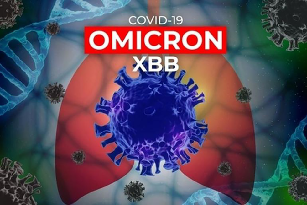Chưa thể loại trừ dịch Covid-19, nguy cơ làn sóng mới - 6 Chưa thể loại trừ dịch Covid-19, nguy cơ làn sóng mới - 6