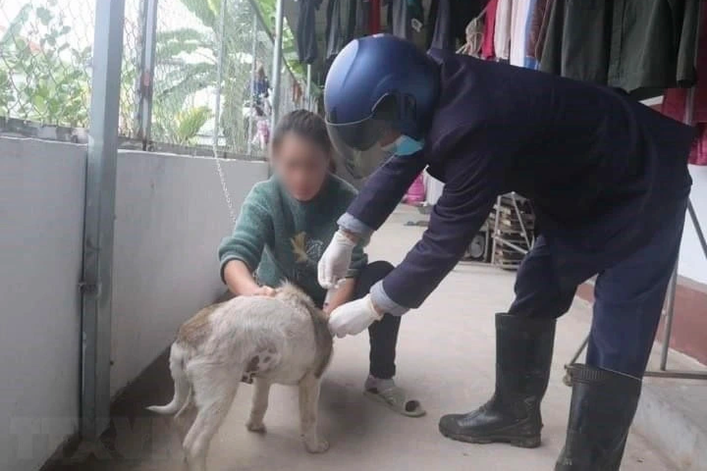 Chó dại chạy vào trường học tấn công 13 học sinh và một thầy giáo - 1 Chó dại chạy vào trường học tấn công 13 học sinh và một thầy giáo - 1