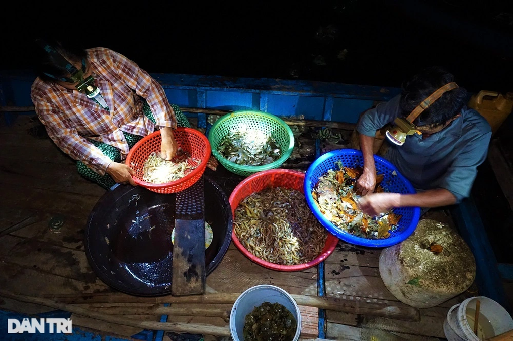 Tuyệt chiêu dụ tôm của ngư phủ cả đời cắm chốt nơi cửa sông - 5 Tuyệt chiêu dụ tôm của ngư phủ cả đời cắm chốt nơi cửa sông - 5