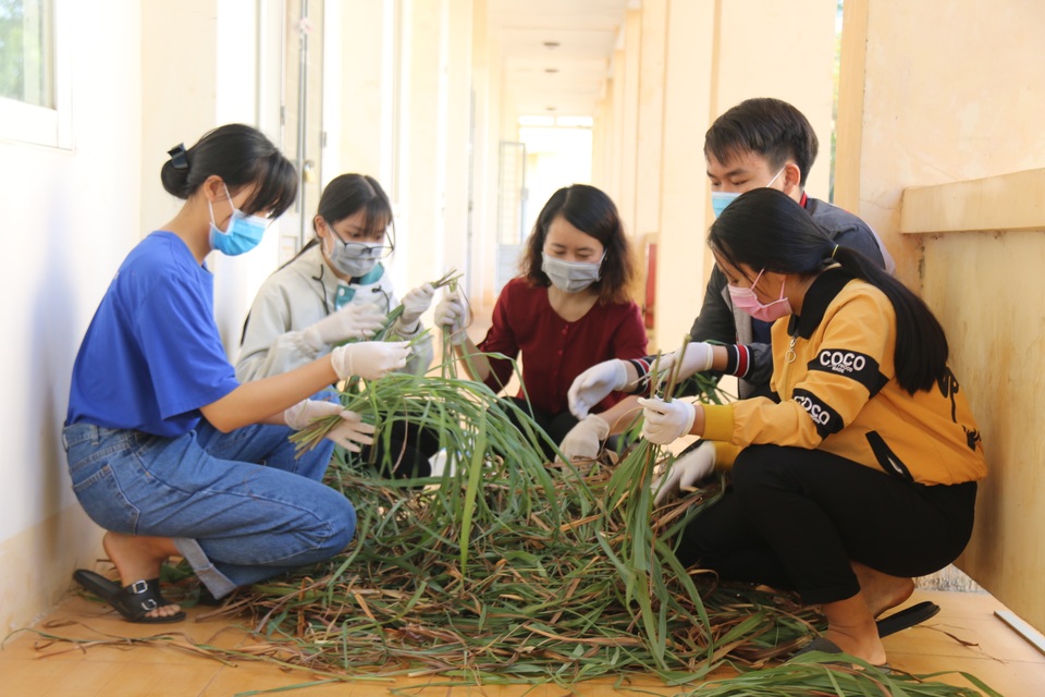 Hai nữ sinh lớp 11 chế dung dịch sát khuẩn từ loại cây mọc dại - 1 Hai nữ sinh lớp 11 chế dung dịch sát khuẩn từ loại cây mọc dại - 1
