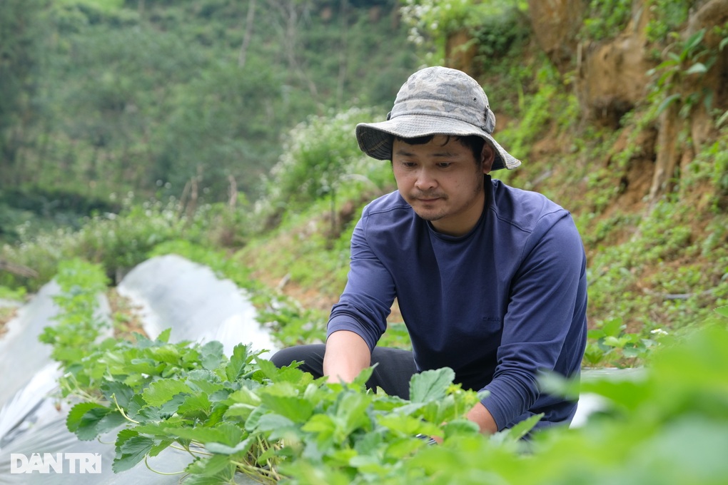 Nâng cao điều kiện sống, khả năng tiếp cận việc làm cho người nghèo - 1 Nâng cao điều kiện sống, khả năng tiếp cận việc làm cho người nghèo - 1